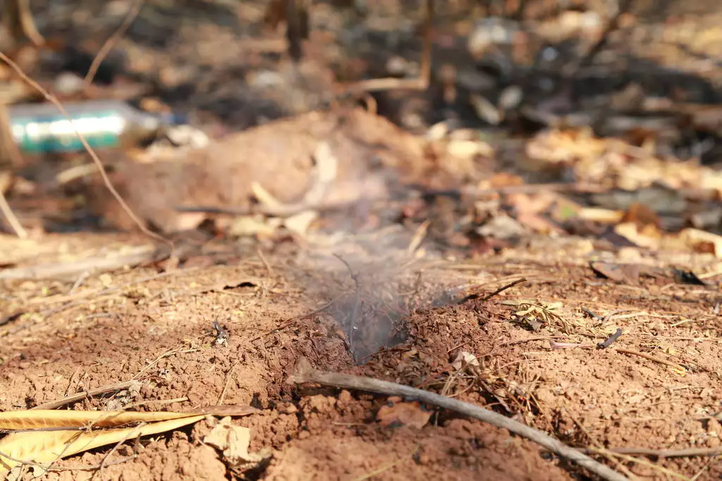 Notícias sobre o incêndio
